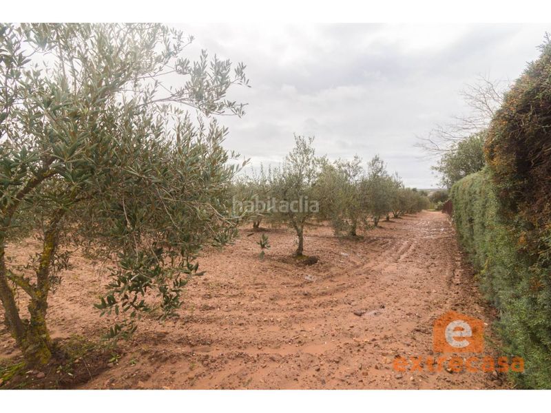Foto ecb405a0-c009-482a-bf12-b94794bc3352. Terreny residencial a Ciudad Jardín Badajoz