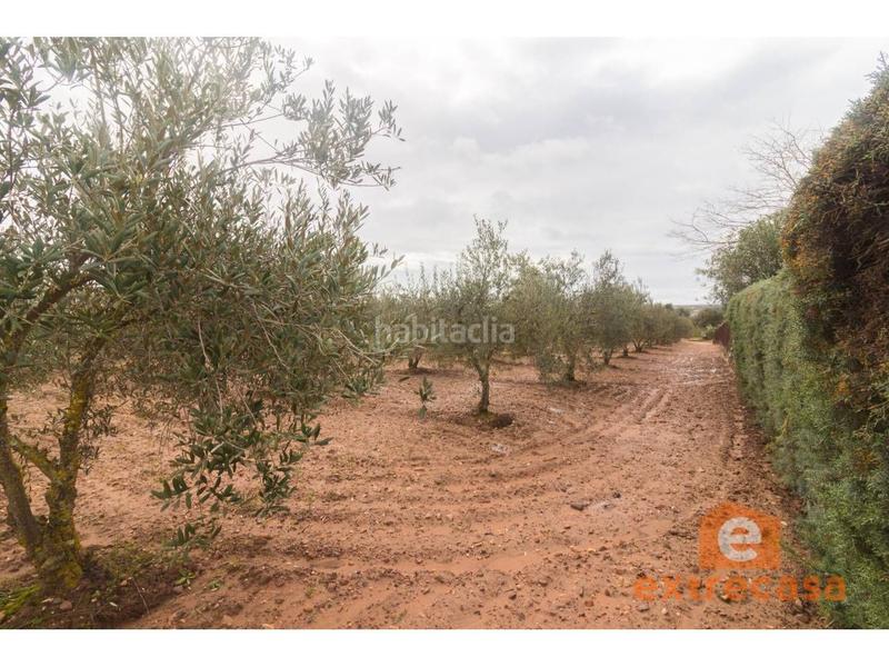 Foto f5a34e3d-712d-473e-b518-500f175215f0. Wohngrundstück in Ciudad Jardín Badajoz