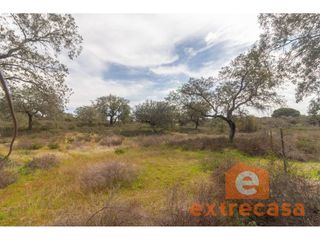 Finca rústica a Las Vaguadas. Parcela en venta en jaras del manantío