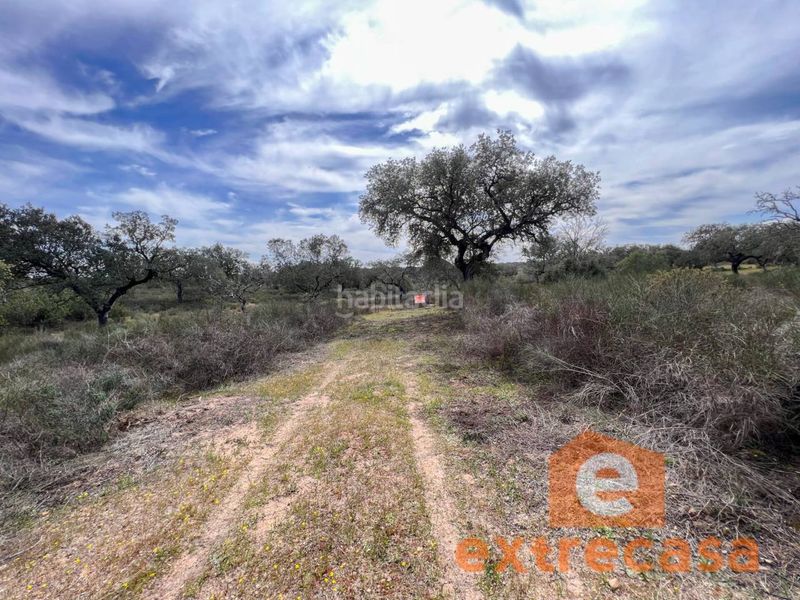 Foto 7fef8bb4-aa06-4c8a-ae7b-67570291e348. Finca rústica a Las Vaguadas Badajoz