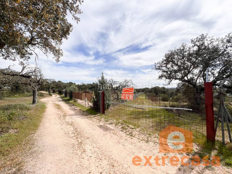 Foto a9aec20b-7097-48e3-ad78-bfacd3e54ae8. Finca rústica a Las Vaguadas Badajoz