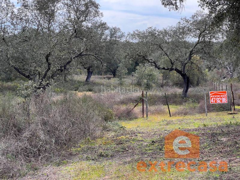Foto f86acadd-3657-4ada-b216-7c59a14fa8d2. Finca rústica a Las Vaguadas Badajoz