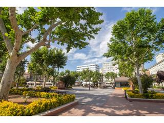 Local Comercial en Casco Antiguo