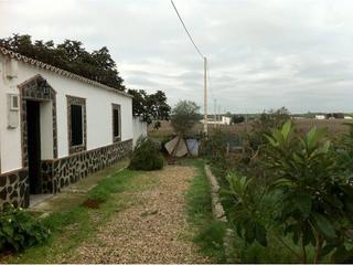 Casa a Pedanías de Badajoz. Finca con 3 casas y 1 ático en venta