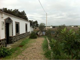 Maison à Pedanías de Badajoz. Finca con 3 casas y 1 ático en venta