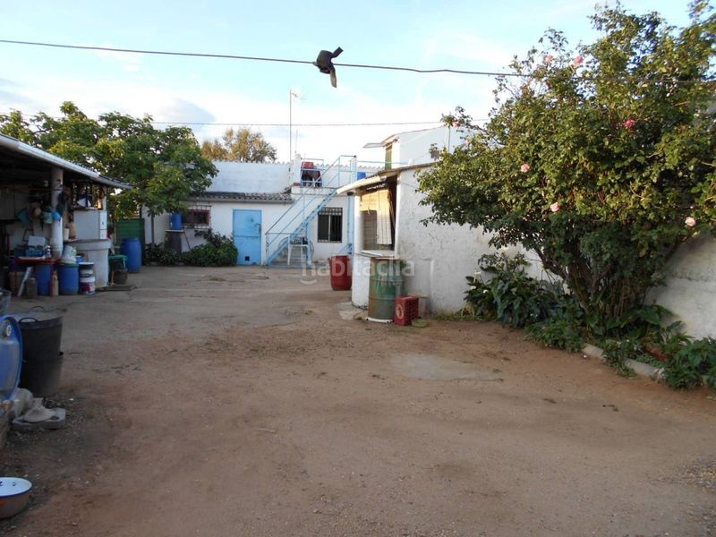 Foto 7f21c412-2578-4e46-b7df-cbad6559cdb7. Casa amb aparcament a pedanías de Badajoz Badajoz