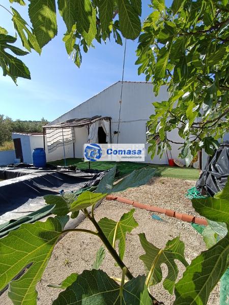 Foto 04af5f6f-8341-4420-bf57-f002f4ddb571. Casa  monte lope alvarez en Martos