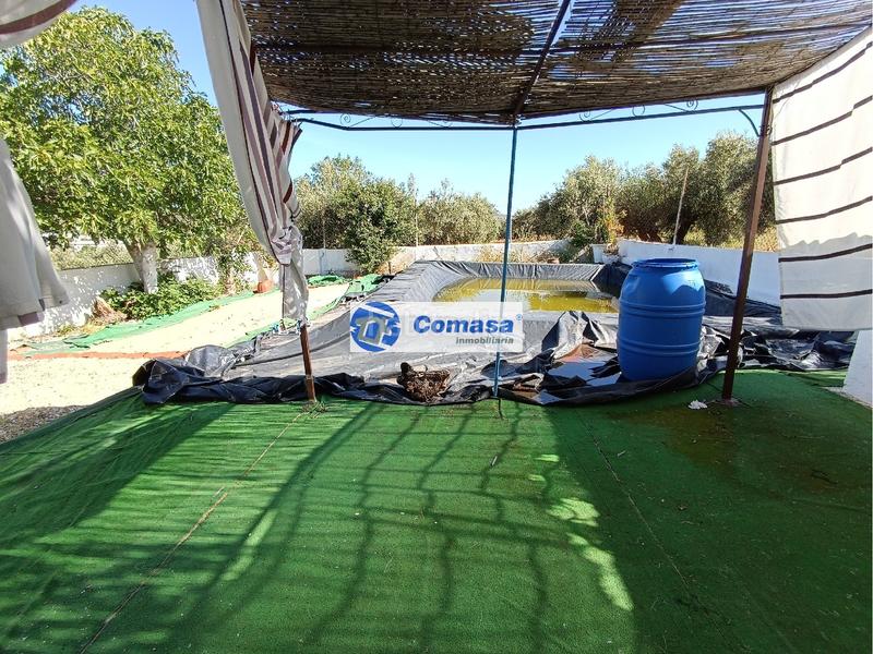 Foto 39ddcb5a-32c1-4e4c-b6ca-8c096ed0a794. Casa  monte lope alvarez en Martos