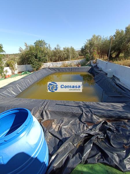 Foto f604837d-ad5b-4a4e-9b5d-baf5cdf27409. Casa  monte lope alvarez en Martos