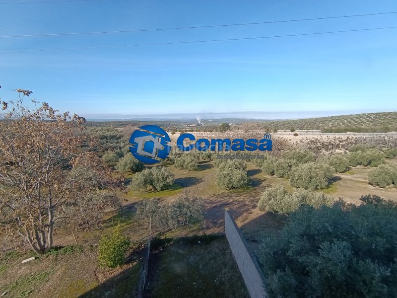 Foto 69201884-957b-4167-9489-745da09f2e8e. Nau industrial a Martos