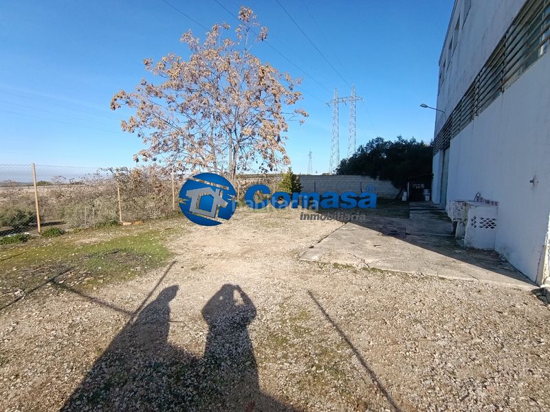 Foto c235981f-d9c9-4459-bb54-851c2c1ed5b7. Nau industrial a Martos