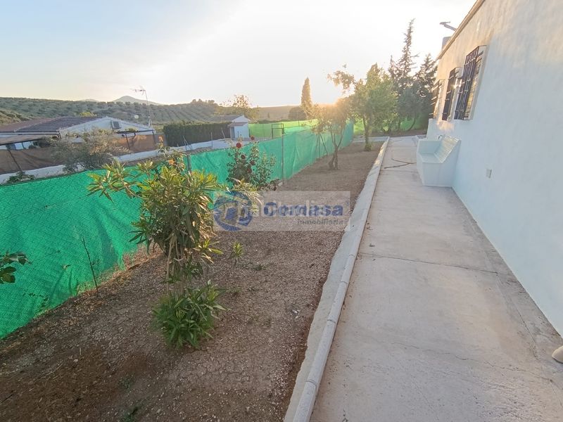 Foto d85e80c8-6d04-4d56-aa8a-682b0d686627. Xalet amb piscina a Martos