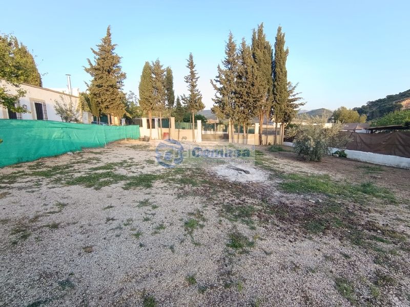 Foto e1906ce2-a2d2-4492-8e08-4aa06ed86f65. Xalet amb piscina a Martos