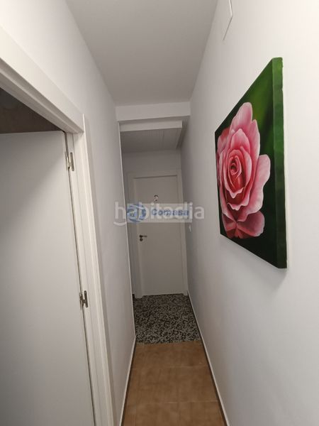 Foto 76be08a5-a4e8-41eb-8883-478f1fd513df. Pis a Martos