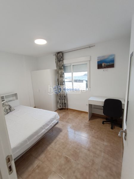 Foto 93af2233-fb14-4dbd-b5be-43a751ab13d0. Pis a Martos