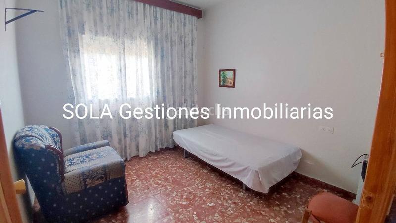 Foto 86d68db3-b28c-4ce6-98a7-189d516e8c06. Pis a Torreperogil