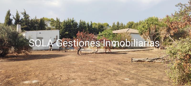 Foto 0d336b3b-21d1-44ad-a369-f4b39220f9da. Chalet  villa martin en Torreperogil