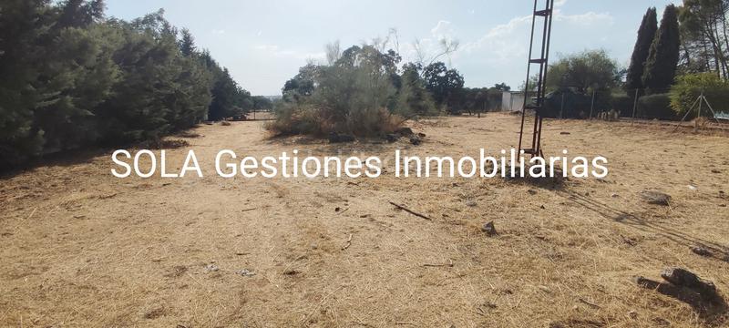 Foto 80eb720b-55c0-42c9-99f4-ce1985d4958f. Chalet  villa martin en Torreperogil