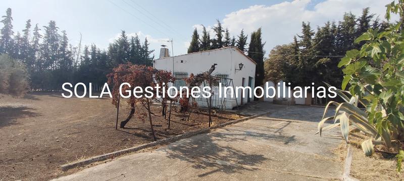 Foto 8b8c2a7e-998b-4e7a-8526-bd4e36b6f07c. Chalet  villa martin en Torreperogil
