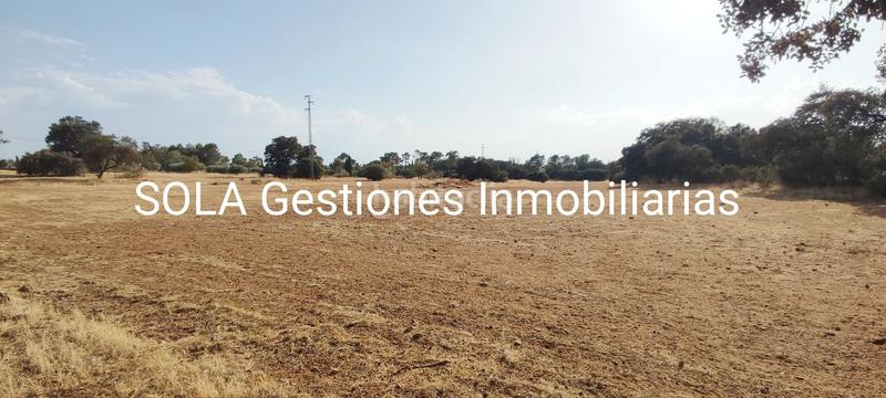 Foto f90182c5-e5aa-4012-9654-f5adab12a402. Chalet  villa martin en Torreperogil