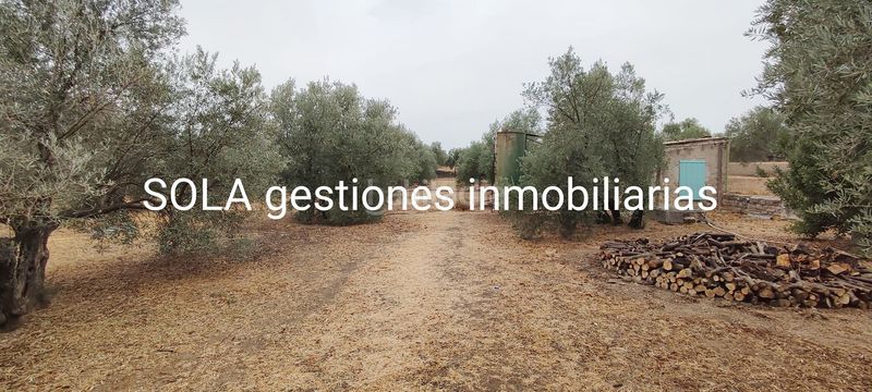 Foto 1cc8e404-7131-473f-ac3d-538c58dfe91e. Residential plot in Úbeda