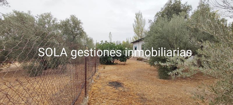 Foto 2ed73b05-a56a-4c3d-a896-553cf4f977be. Residential plot in Úbeda