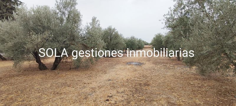 Foto a0843dde-2e66-4b7a-9f6f-8ae63b5ffcbb. Residential plot in Úbeda