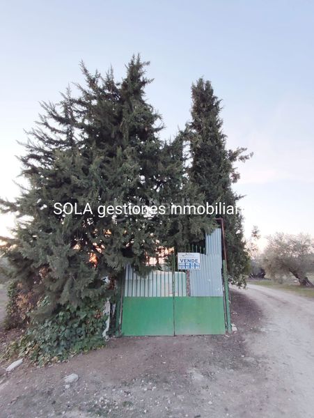 Foto e3da38e0-cb8e-4a39-9b9d-6c74f4debb60. Propriété dans Úbeda