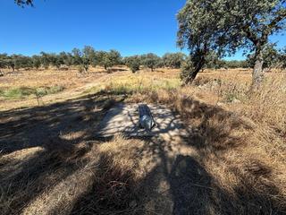 Propriété à Pozoblanco. Venta de finca agrícola y ganadera!