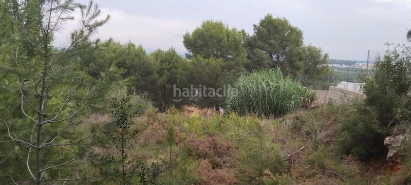 Foto ebeb04b5-1e8e-40e3-9d90-8ce6fe491f0f. Terrain résidentiel dans Alberic