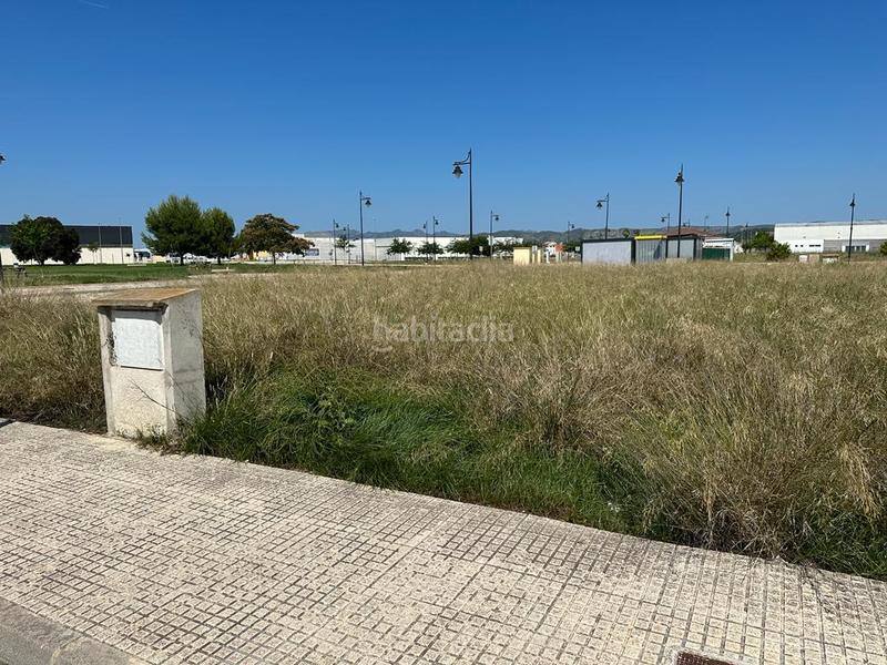 Foto abdff149-ff82-4b70-8916-8d5c49f9f538. Terreno residenziale in Pobla Llarga (la)