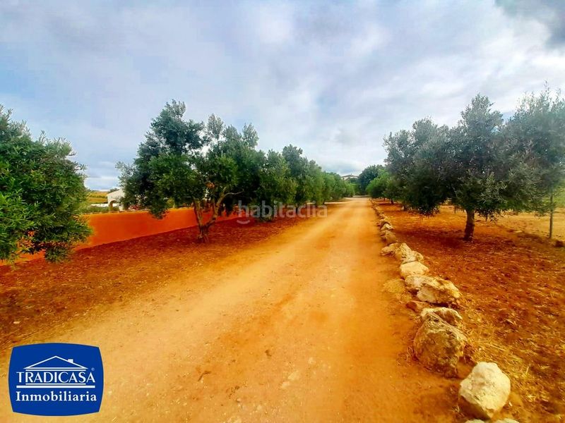 Foto bcce1a8b-3979-4055-88cf-fa24307abd2c. Xalet a Arcos de la Frontera