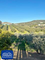 Masia en Arcos de la Frontera. Arcos de la frontera,  parcela a pie de carretera de 14.220 m 15
