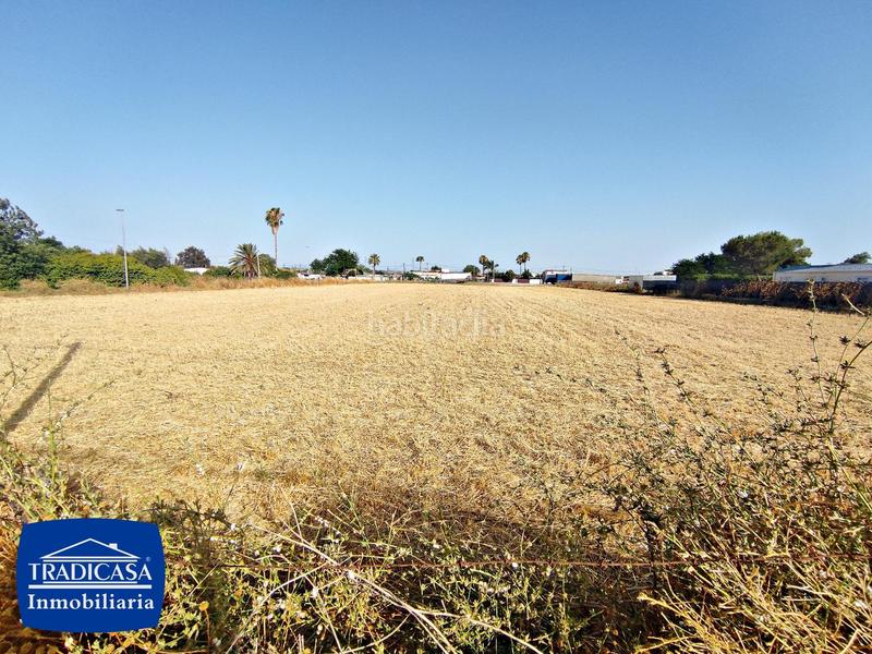 Foto b3575043-20f0-4371-86be-a717eaaae374. Finca rústica parcela rústica de 7.500m en guadalcacín en Jerez de la Frontera