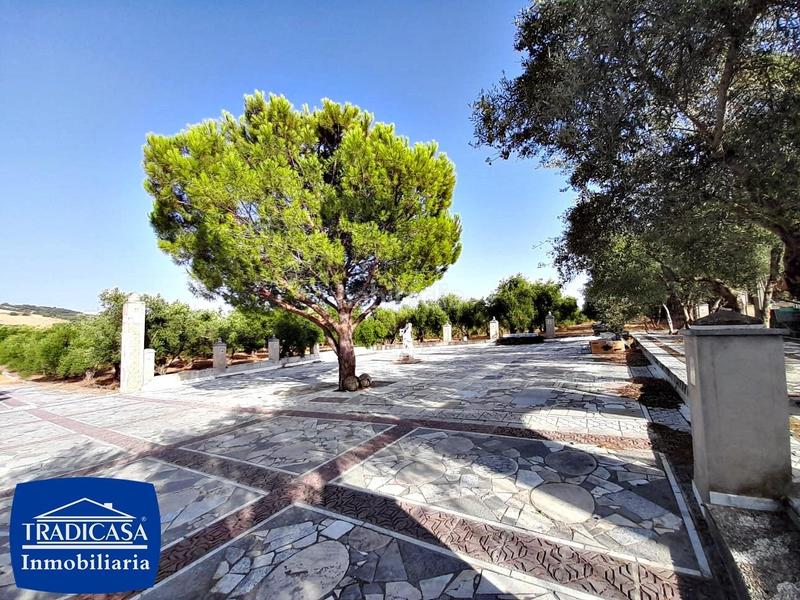 Foto a150ceb9-ba0e-4c80-aa8a-e462ff5ef54c. Mas avec piscine dans Arcos de la Frontera