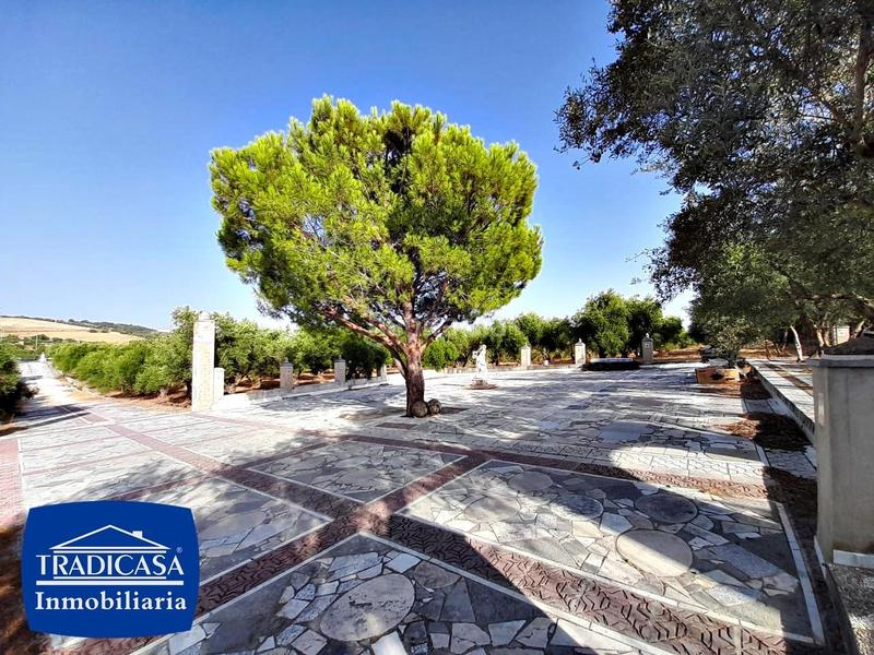 Foto bc30f6a8-b625-42b9-87a3-c0675399aca7. Mas avec piscine dans Arcos de la Frontera