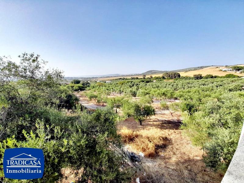 Foto bddd411c-7324-4e95-8e1d-d7a120d62fc7. Mas avec piscine dans Arcos de la Frontera