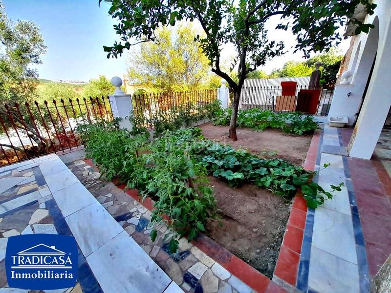 Foto f5e155a8-c938-4e47-8a8c-3b057e6604e3. Mas avec piscine dans Arcos de la Frontera