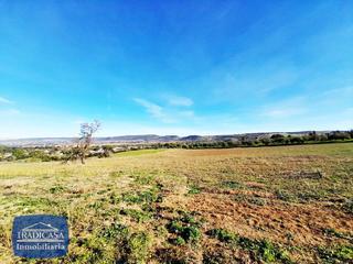 Finca rústica a Arcos de la Frontera. Finca rustica  de 34.619m en arcos de la frontera