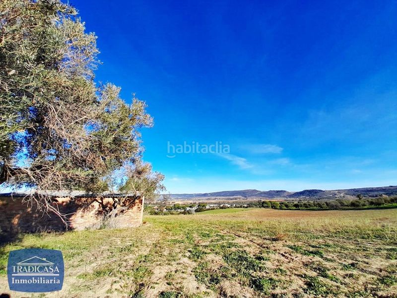 Foto 68c53468-4acb-442f-9fd9-7a0e4984d9e0. Finca rústica a Arcos de la Frontera