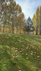 Appartement à San Adrián. Piso en venta en el parque san miguel, garaje y trastero