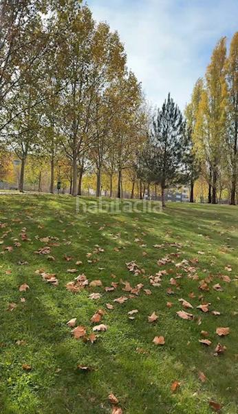 Foto 74e02a54-8aff-4dfc-9f82-dae132be785c. Etagenwohnung mit heizung parking in San Adrián Logroño