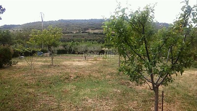 Foto 3f46d94e-50c0-498b-ad8d-335a54e84427. Fondo rustico in El Campillo - Norte Logroño