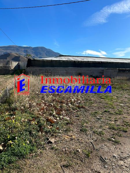 Foto 681c920c-62be-467a-84dc-ced6165240c4. Fondo rustico in carretera de adra 39 in Berja