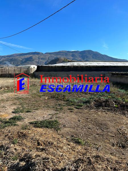 Foto 9cd8ad0a-4a80-47a0-87f3-382bf3d9981f. Fondo rustico in carretera de adra 39 in Berja