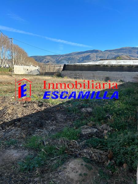 Foto d24d02f5-883a-4188-9b7a-793bc32378b6. Fondo rustico in carretera de adra 39 in Berja