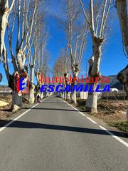 Finca rústica a Carretera de adra 39. Suelo rustico buena situacion