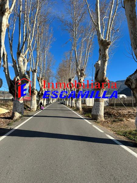 Foto e3bc7eb2-70d1-45ad-ae3b-d5f052a53fed. Fondo rustico in carretera de adra 39 in Berja