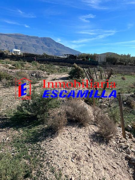 Foto e9014c21-28eb-45d8-b950-b1fdc6d7282e. Propriété dans calle los almeses 30 dans Berja