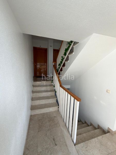 Foto b2ce6a54-97e1-470c-9152-e361d2e70e1b. Pis a Berja